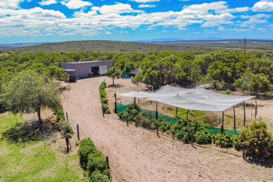4 Bedroom Property for Sale in Long Acres Country Estate Western Cape